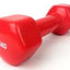 Aerobikos hantelis Prove 2,5kg (1vnt)