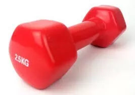 Aerobikos hantelis Prove 2,5kg (1vnt)
