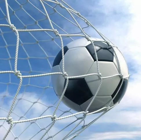 Futbolo vartų tinklas Netex 5x2x0,8x1,5m PES4mm
